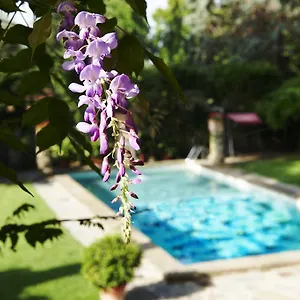 Park Palace 4*, Firenze Italia